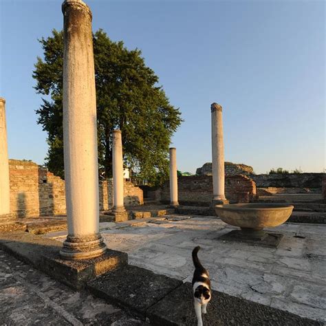 Felix Romuliana Gamzigrad Zajecar Serbia Unesco World Heritage