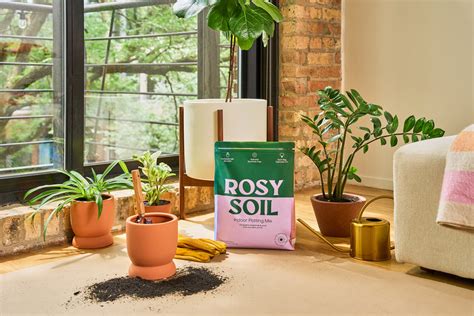 Topsoil Vs Potting Soil 4 Key Differences You Should Know Rosy Soil