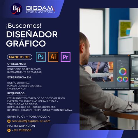 Dise Ador Gr Fico Trabajando Bolivia