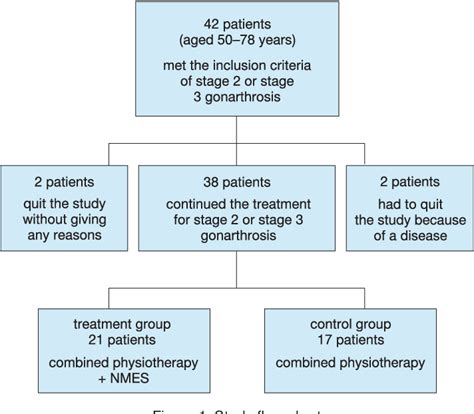 Figure 1 From The Effect Of Short Term Neuromuscular Electrical