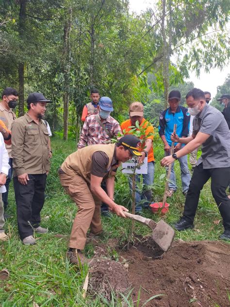 Sinergitas Mitigasi Bencana Dan Konservasi Tamanan Lokal Merapi