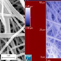 SEM Left And AFM Right Renderings Of 40 60 Zole SPU Nanofibers