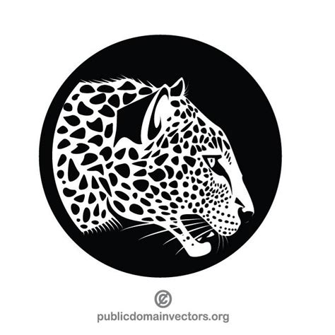 Leopard Vector At Getdrawings Free Download