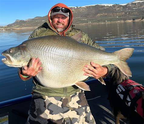 World Record Lake Trout Beyond The Catch