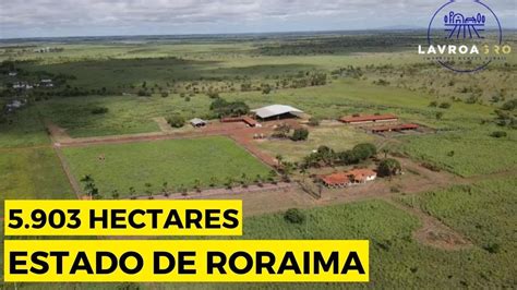 FAZENDA A VENDA EM RORAIMA DE 5 903 HECTARES YouTube