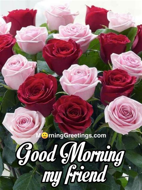 Good Morning Wishes With Rose Morning Greetings Morning Quotes