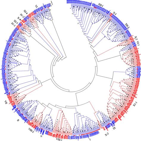 Phylogenetic Analysis Of Gossypium Hirsutum Lrr Rlk Protein Sequences