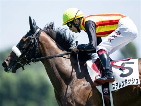 名牝を詰めこんだ超良血馬 サフラン賞で連勝狙う ライブドアニュース