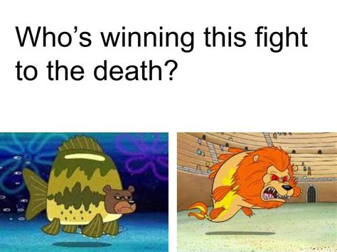 Who's winning, a Sea Bear or a Sea Lion? : r/spongebob