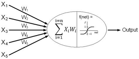 12 McCulloch-Pitts processing element (artificial neuron) | Download ...