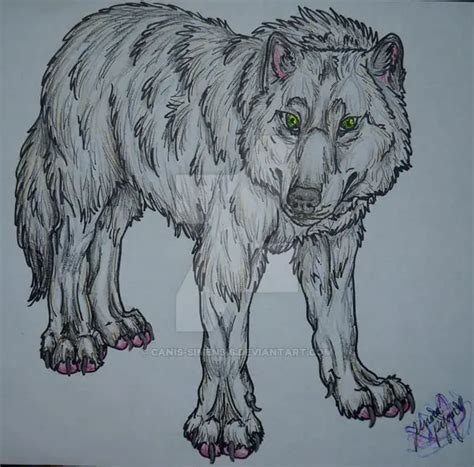 Dire Wolf 5E / 3 dire wolf 5e monsters attributes. - pic-lard