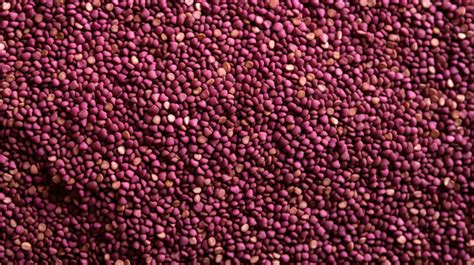 Close Up Top View Of Organic Amaranth Seeds Nutrient Rich Superfood For