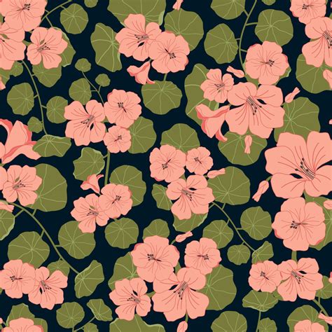 Nasturtiums flowers seamless pattern in black background 14007704