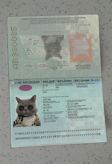 Belgium Passport Template - Perfect Templates - The Biggest Selection