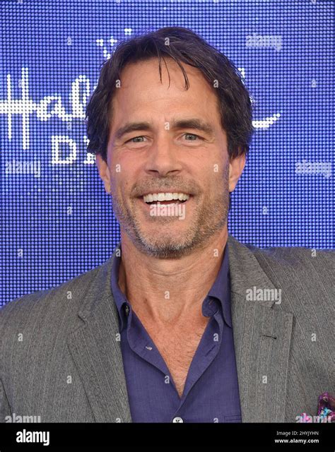 Shawn Christian Arriving To The Hallmark Channel And Hallmark Movies