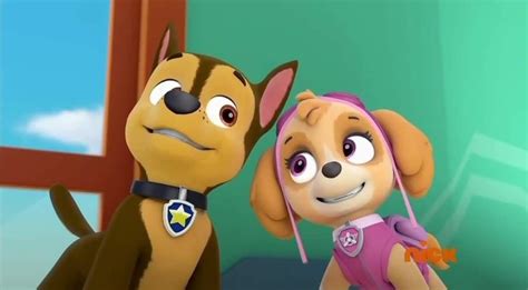 Rubble Paw Patrol Paw Patrol Pups Chase Paw Patrol Cockapoo