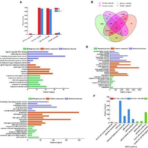 Go And Kegg Pathway Analysis Of Differentially Expressed Genes Degs