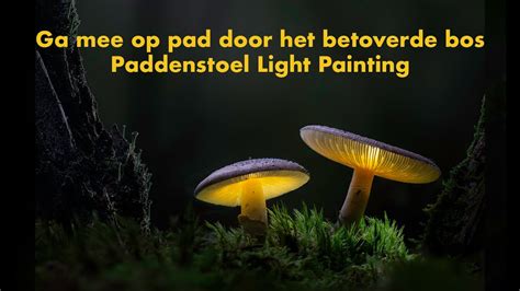 Op Pad In Het Betoverde Bos Paddenstoel Light Painting YouTube