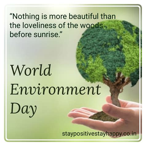 Top World Environment Day Images With Quotes Amazing Collection