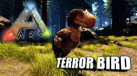 Taming A Terror Bird Ark Survival Evolved The Island YouTube