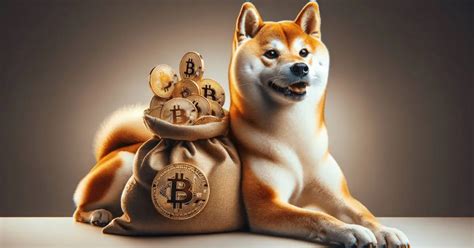 Shiba Inu Takes The Lead As Meme Coin Market Hits Over B Trade Volume