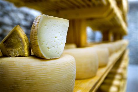 Il pecorino dei Sibillini la qualità del prodotto rivelata da una