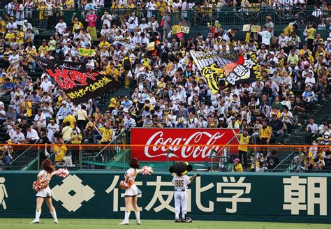 阪神優勝なるか！？ M1で迎えた巨人戦 試合前から盛り上げる甲子園 写真特集69 毎日新聞