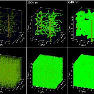 Irradiation of a cubic volume of 12 μ m × 12 μ m × 12 μ m by 6 iron ... 
