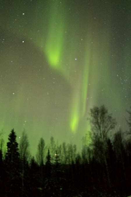 Fairbanks Alaska Northern Lights Forecast | Shelly Lighting