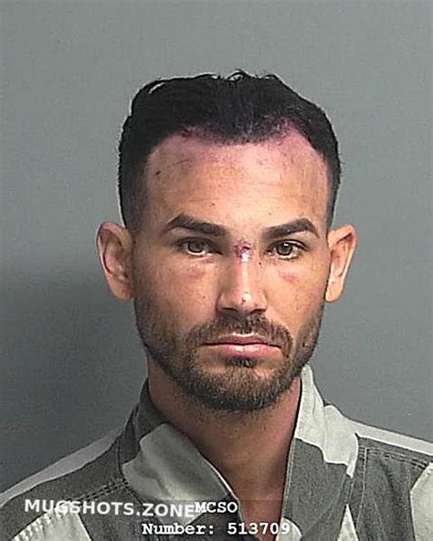 Vilar Pacheco Andres Montgomery County Mugshots Zone