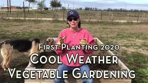 First Planting 2020 Cool Weather Vegetable Gardening Youtube