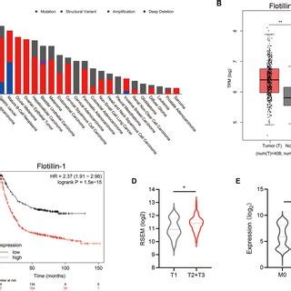 Increased Flotillin Predicts A Poor Prognosis Of Gastric Cancer