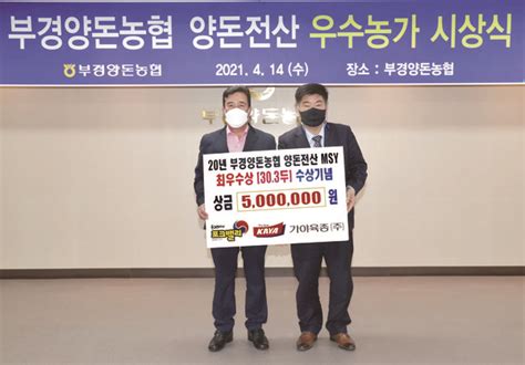 부경양돈농협 양돈전산 우수농가 시상···psy 253마리·msy 22마리 역대 최고 성적