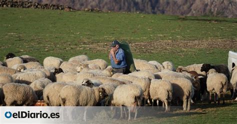 Los ganaderos canarios reclaman más ayudas para cereales y forrajes