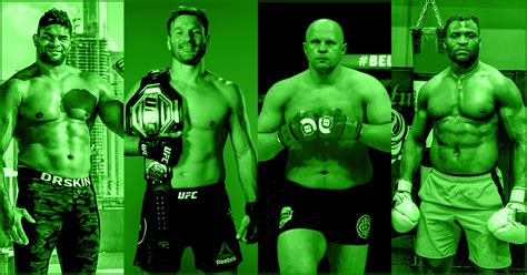 The 12 Greatest Mma Heavyweight Fighters Of All Time Middleeasy