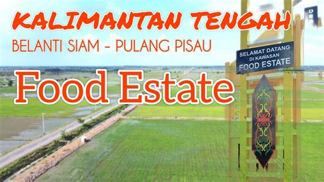 Food Estate Kalimantan Tengah Youtube