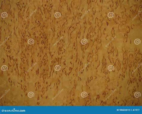 Briar-root Wood Texture Royalty-Free Stock Photography | CartoonDealer ...