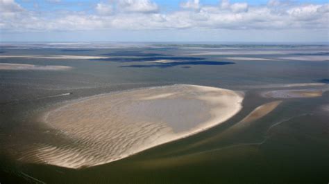 Unesco Wattenmeer Wird Weltnaturerbe