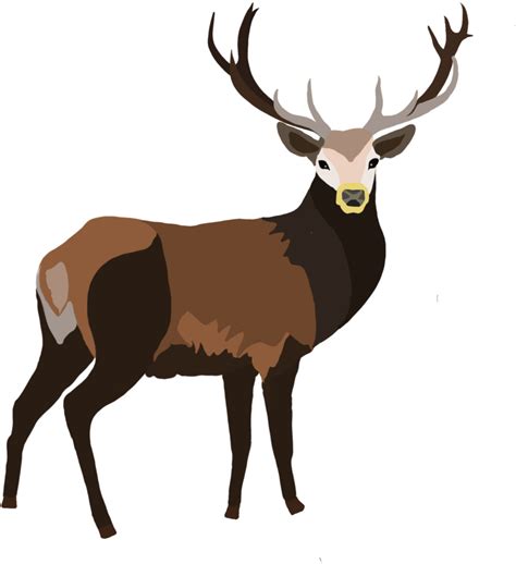 Download Stag Png Image With No Background