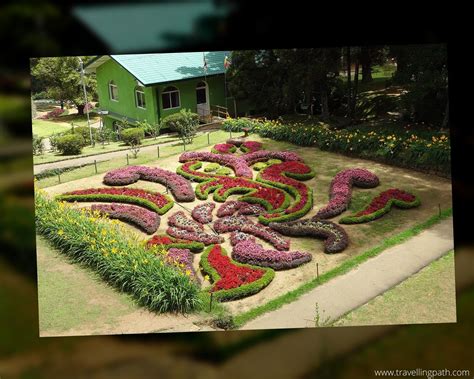 Take a walk down memory lane in the beautiful - Hakgala Botanical Garden