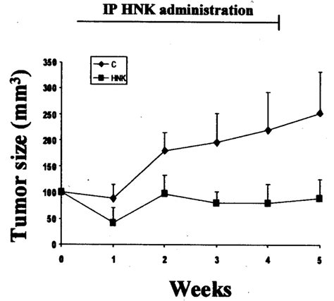 In Vivo Activity Of Hnk Against Breast Cancer Cells Mda Mb Cells