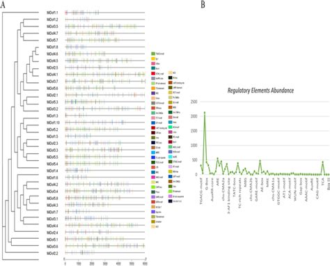 A Cis Acting Regulatory Elements Of Dof Transcription Factors In