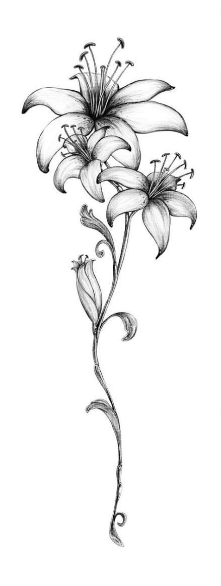 250 Lily Tattoo Designs With Meanings 2020 Flower Ideas And Symbols