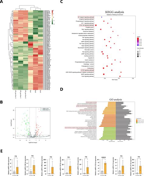 The Expression Of Mirna P In Lps Pre Exos Was Sharply Increased