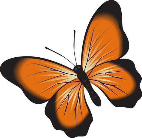 Download Butterfly, Orange, Clip Art. Royalty-Free Stock Illustration Image - Pixabay