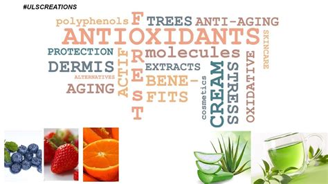 Power Of Antioxidants Benefits Of Antioxidants Youtube