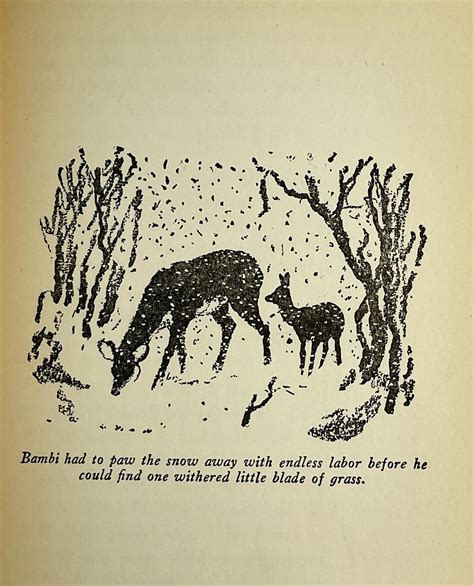 Lot 1929 Bambi By Felix Salten Illustrated FIRST EDITION