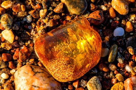 Elbe Warnung Mann Nimmt Stein Aus Wasser Und Verbrennt Sich Schwer