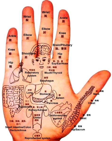qi circulation  acupoints  chinese medicine   chinese