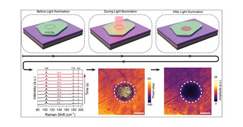 Optical Effects On Polarization States In Van Der Waals Ferroelectric